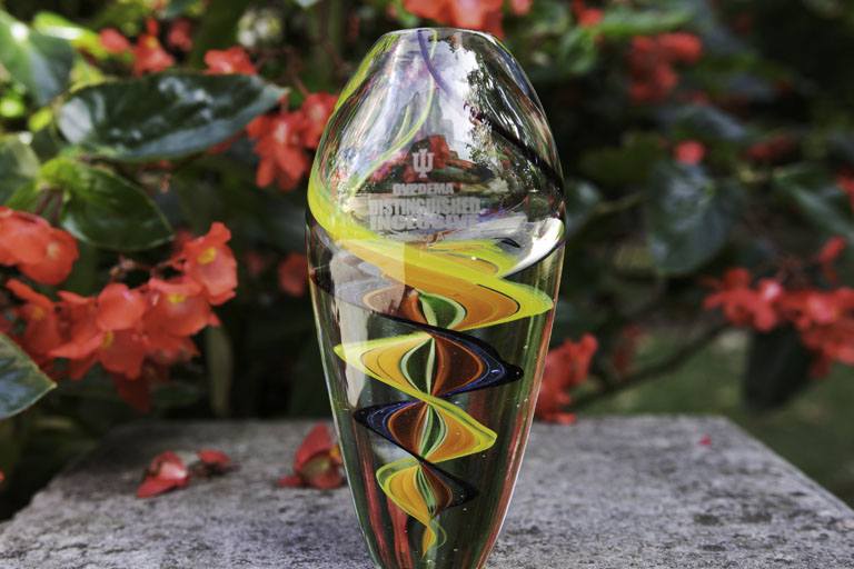 Vase like glass award with inscription OVPDEMA Distinguished Inclusive Excellence Award.