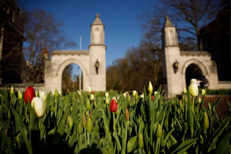 Tulips are pictured near the Sample Gates on a spring day at Indiana University Bloomington on Saturday, April 11, 2020.