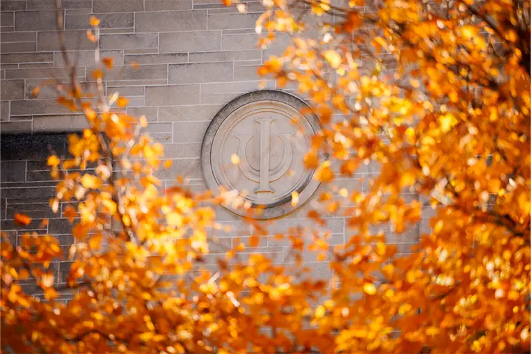 The Indiana University trident logo carved into a limestone wall, seen through the golden leaves of a tree in autumn.