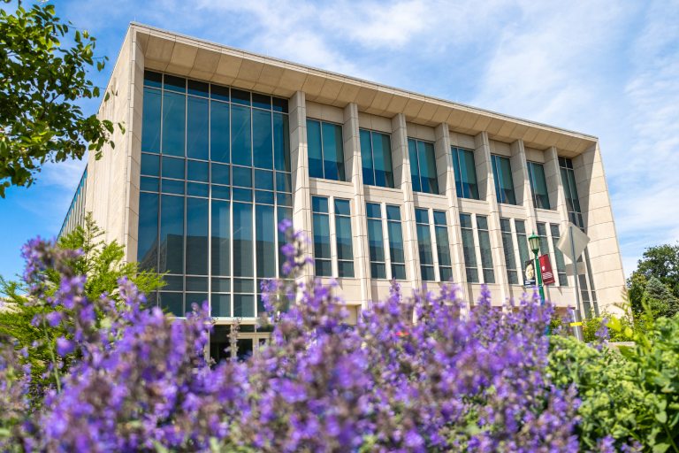 A modern building with large glass windows and a concrete structure is highlighted against a clear blue sky, surrounded by lush greenery and vibrant purple flowers in the foreground.